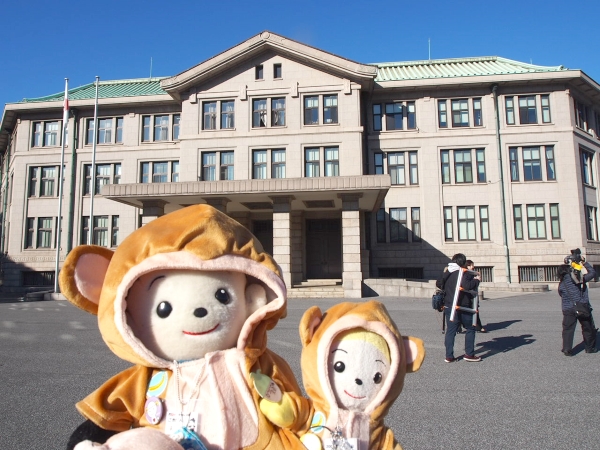 東京にお住まいのプリモプエルファンに有名な神ちゃんさんからプリモプエルの未来君とコプエルの太陽君のお写真をいただきました