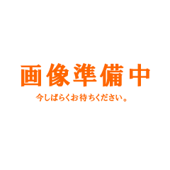 只今画像準備中です　【おもちゃのジャンボ】では、おもちゃ全般の通販・販売をしております